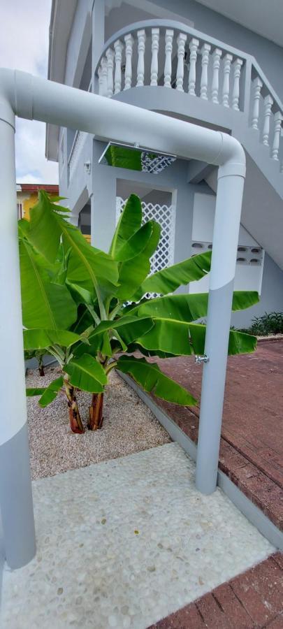 Villa Raven'S Paradise Willemstad Exterior foto